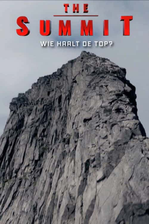 The Summit poster