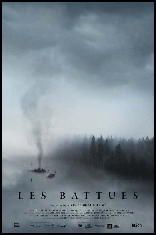 The Fading poster