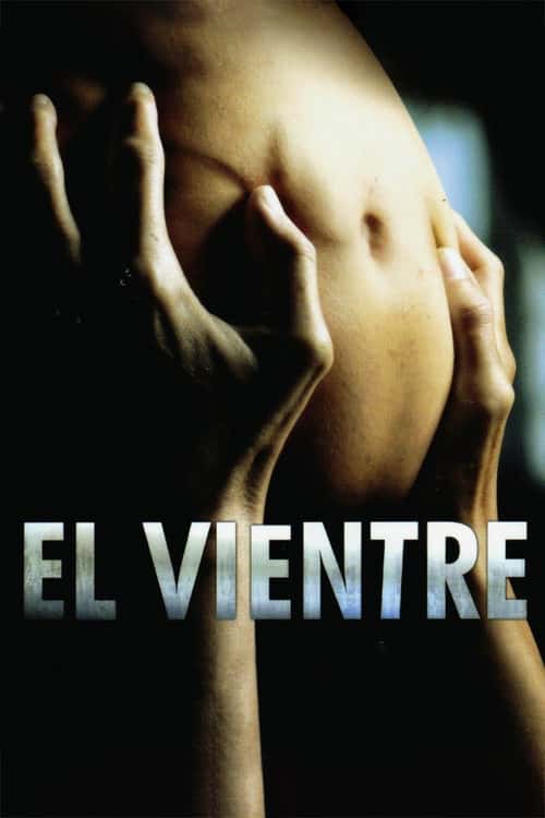 The Womb poster