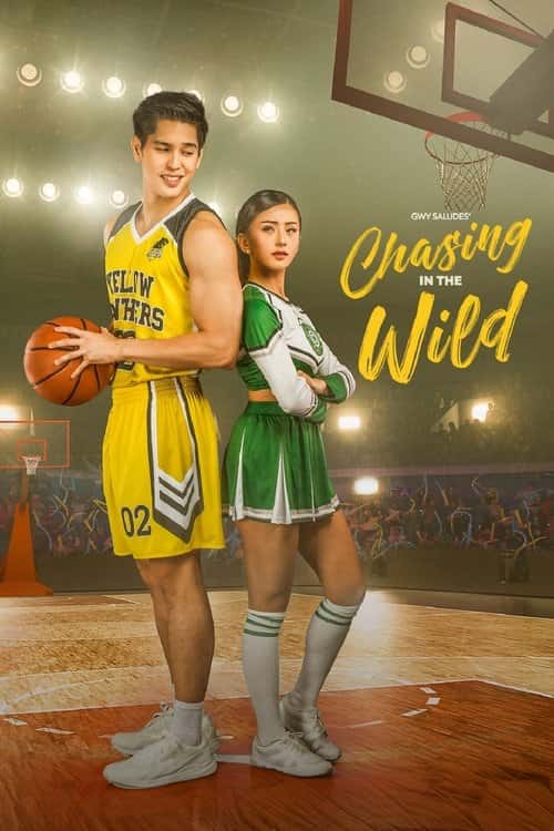 Chasing in the Wild poster