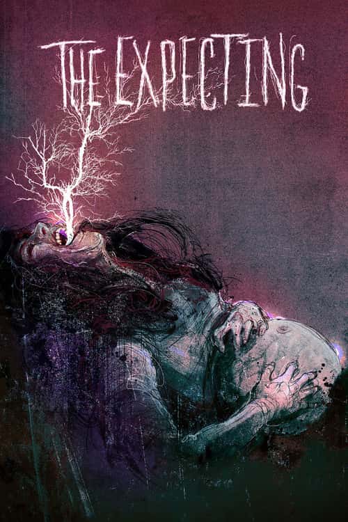 The Expecting poster
