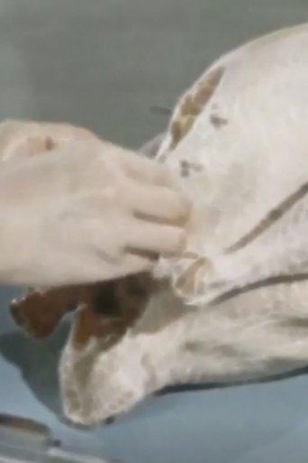 /1586KcvYoIVA59gUvGFiBqAvSrT.jpg