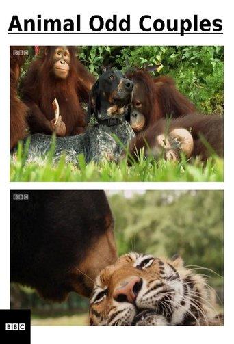 /1GeprCBXlAhKRuShrONhyrQ7bY8.jpg