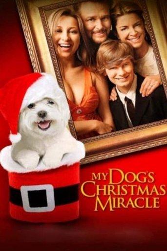 /1KdvD4WBFxpyhHie91FKkcYTNSL.jpg