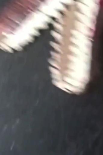 /2CmPxYdNRj811uuQUUYrNarWvM3.jpg