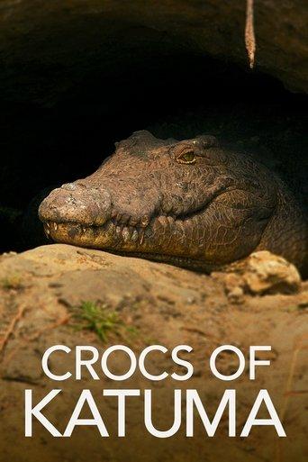 /2KvDgV4EJt2GKII4UWFJEh1VI3y.jpg