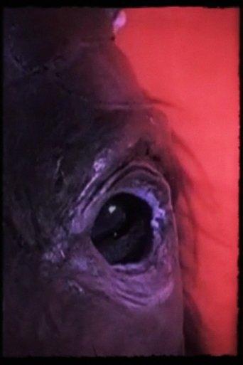 /3N1E0NqPsOyET732yp2Dcz9hbmB.jpg