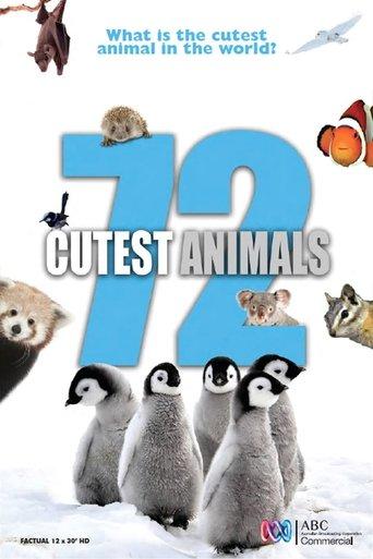 /3UkiMB5rwf3ITnmxBuXONNGDWpo.jpg