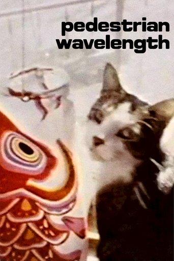 /5Z1L7fAqfrCCYJQyo2Nv2IgxRse.jpg