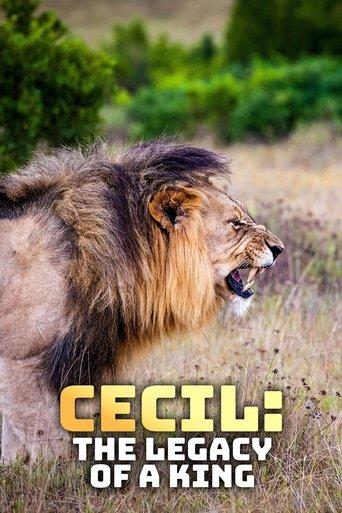 /9evEf5NuK9ivy9jrM3eB6vpVaAJ.jpg