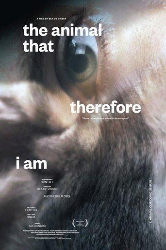 /bQssArrgzSjh0iRJO6aqcrGODIU.jpg