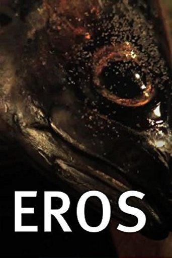 /cPO5kDBjOrrBn7s7SYjG5eHFJT4.jpg