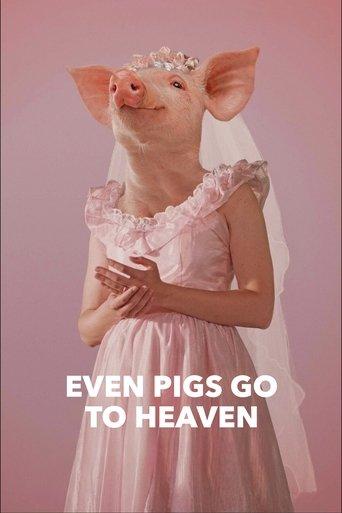 /dHkRcYoCqQ7Dg05yeapkMfITIno.jpg