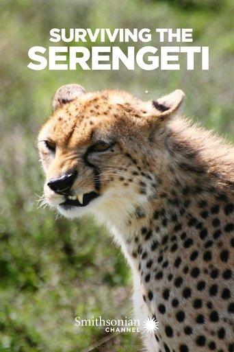/dZoww8okvPvwdtYuxtJl9Z81OiW.jpg