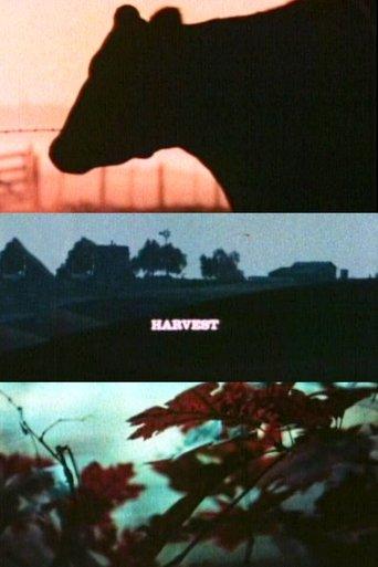 /eK0JTphrPXjKgeehuZbwmLy14LV.jpg