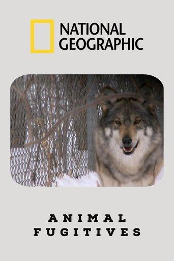 /hu94B6i8MLx36NTauTopNaTw2HQ.jpg