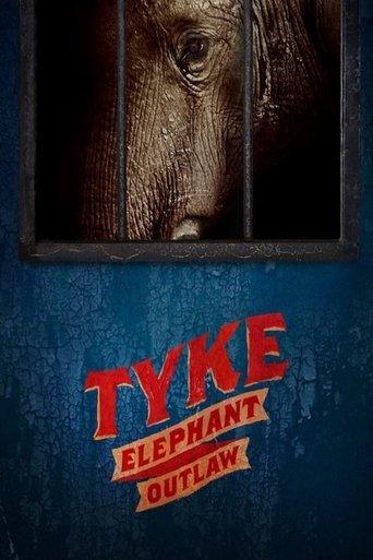 /i4hk3EJSb9QvVDJ1rKeTEDKYMCR.jpg