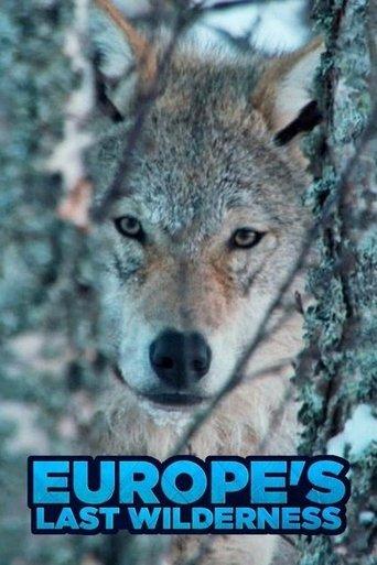 /j8b0kKocgG7v5uUnzCMGG9EOu7w.jpg