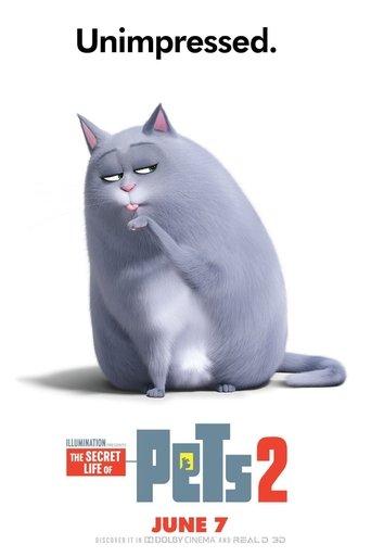 /mQhZeHLt75iIsAuBOuB1Hpmq0Gn.jpg