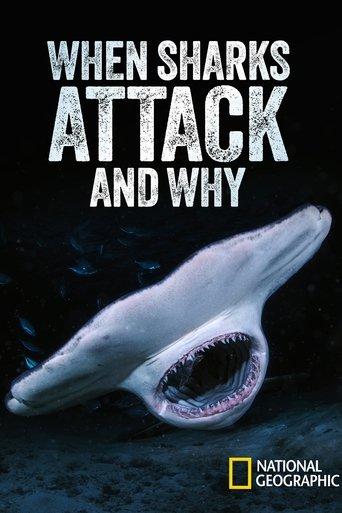 /pZwSNuuJGmCtwY7uws2Gy2jfib8.jpg