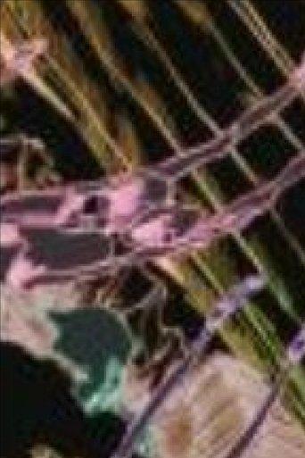/r0q9OWiOCmbdnr0PvclYJ710M7W.jpg