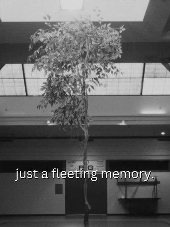 /sadPmT9tD3J5J0CIdkQf9Q3zGaF.jpg