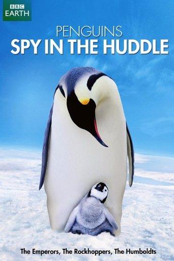 /t2sieAl8HKq7QeflubPwo2SvwJS.jpg