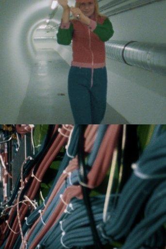 /wD3faXvWH7FNSu3zHEMS92iNW7z.jpg
