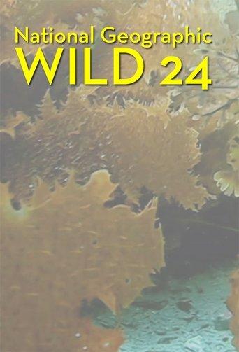 /wcTC2Sf6LRtGQs4yDHuMxCB3ZyK.jpg