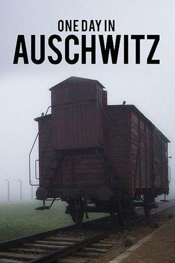 /wpmiPVU8a8qIJ8GOoVw55vhsFHJ.jpg