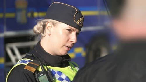 Driving the Wrong Way and Weapon Find still