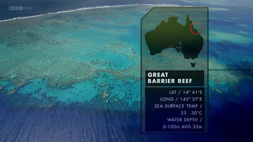 Great Barrier Reef still