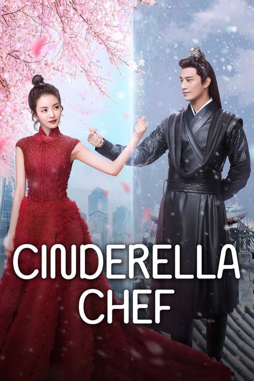 Cinderella Chef poster