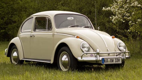 Volkswagen Beetle still