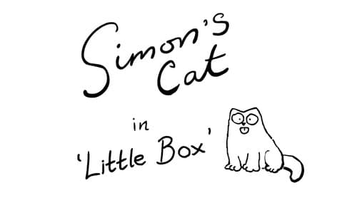 Little Box still