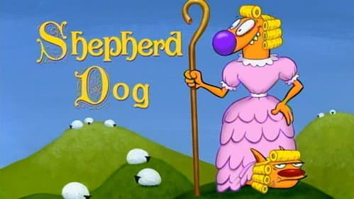 Shepherd Dog still