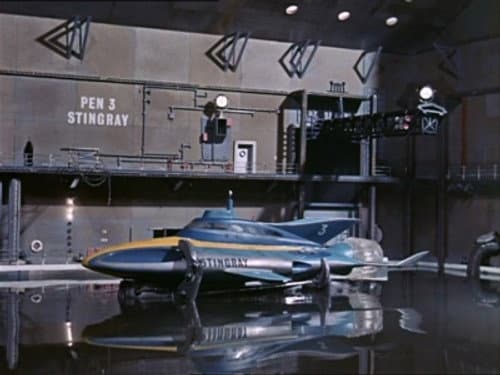Stingray still