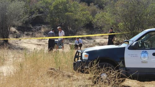 The Body In The Cornfield still
