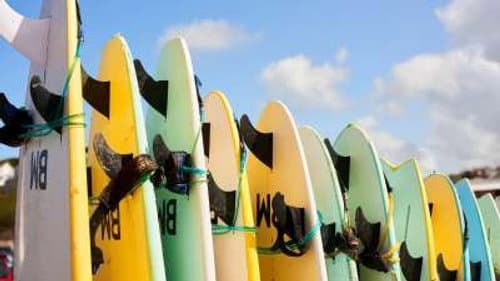 Surfboards, Satchels, Butter still