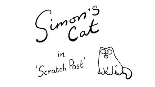 Scratch Post still