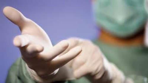 Mushroom Farming, Map Making, Medical Gloves still