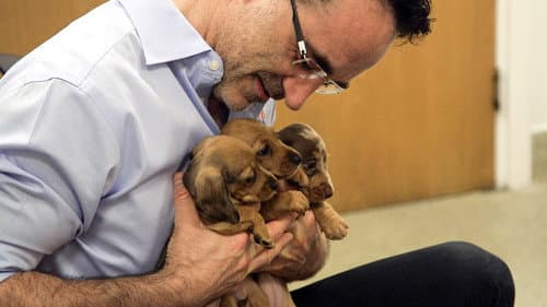 Episode 6 - Puppy Special still