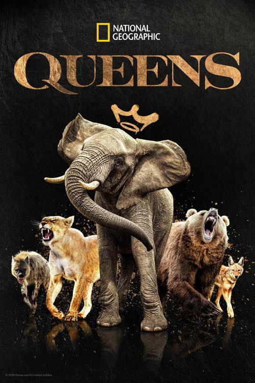 Miniseries poster