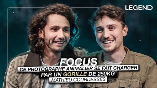 This wildlife photographer is charged by a 250 kg gorilla (Mathieu Courdesses) still