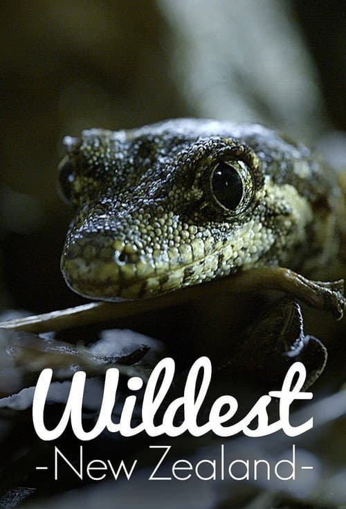 Wildest New Zealand poster