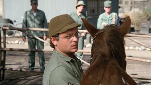 The Colonel's Horse still