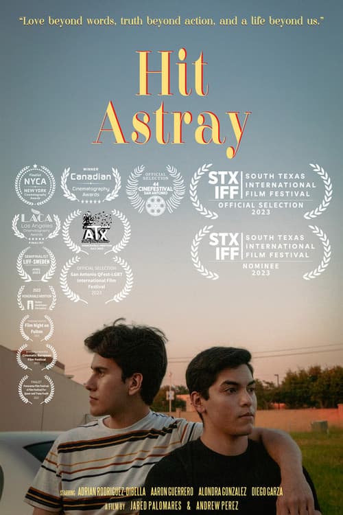 Hit Astray poster