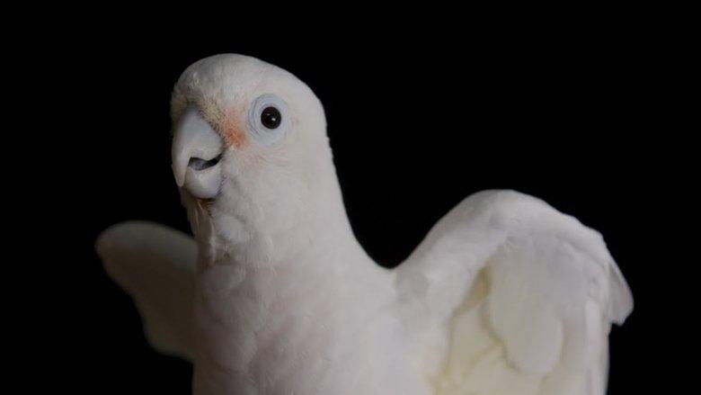 /4tSDhFq3u4C48gg59jlxQkYEFf1.jpg