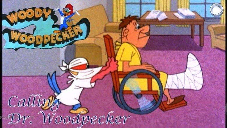 /n72G1bvoChfuzTwml2HmcGT35Pa.jpg