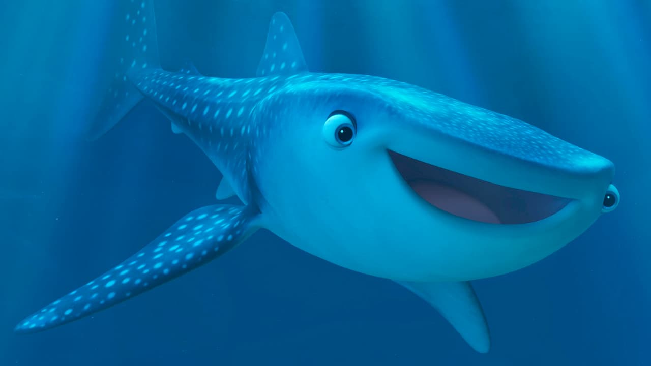Marine Life Interviews backdrop